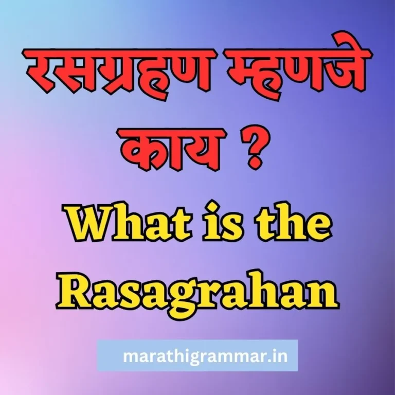 रसग्रहण म्हणजे काय व ते कसे लिहावे संपूर्ण माहिती ? What is the Rasagrahan