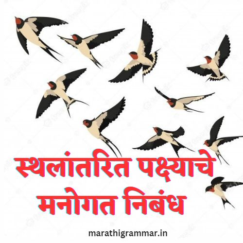 स्थलांतरित पक्ष्याचे मनोगत निबंध। Occult Essays of the Migratory Bird In Marathi 