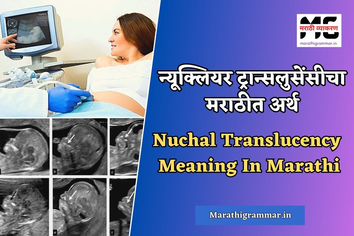 Nuchal Translucency Meaning In Marathi। न्यूक्लियर ट्रान्सलुसेंसीचा मराठीत अर्थ