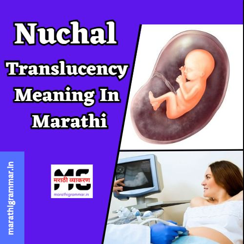 Nuchal Translucency Meaning In Marathi । न्यूक्लियर ट्रान्सलुसेंसीचा मराठीत अर्थ