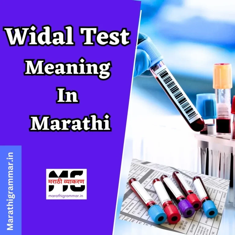 Widal Test Meaning In Marathi । विडाल टेस्ट म्हणजे काय ?