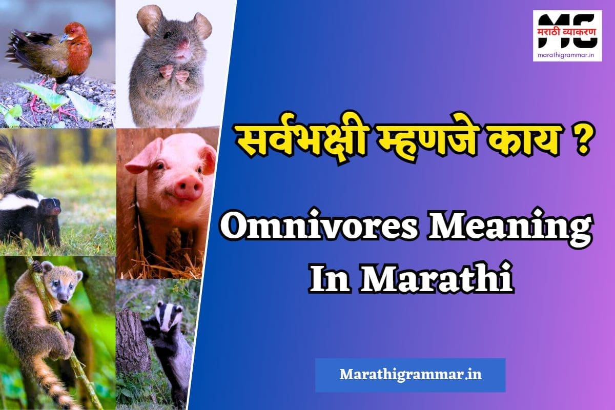 Omnivores Meaning In Marathi। सर्वभक्षी म्हणजे काय ?