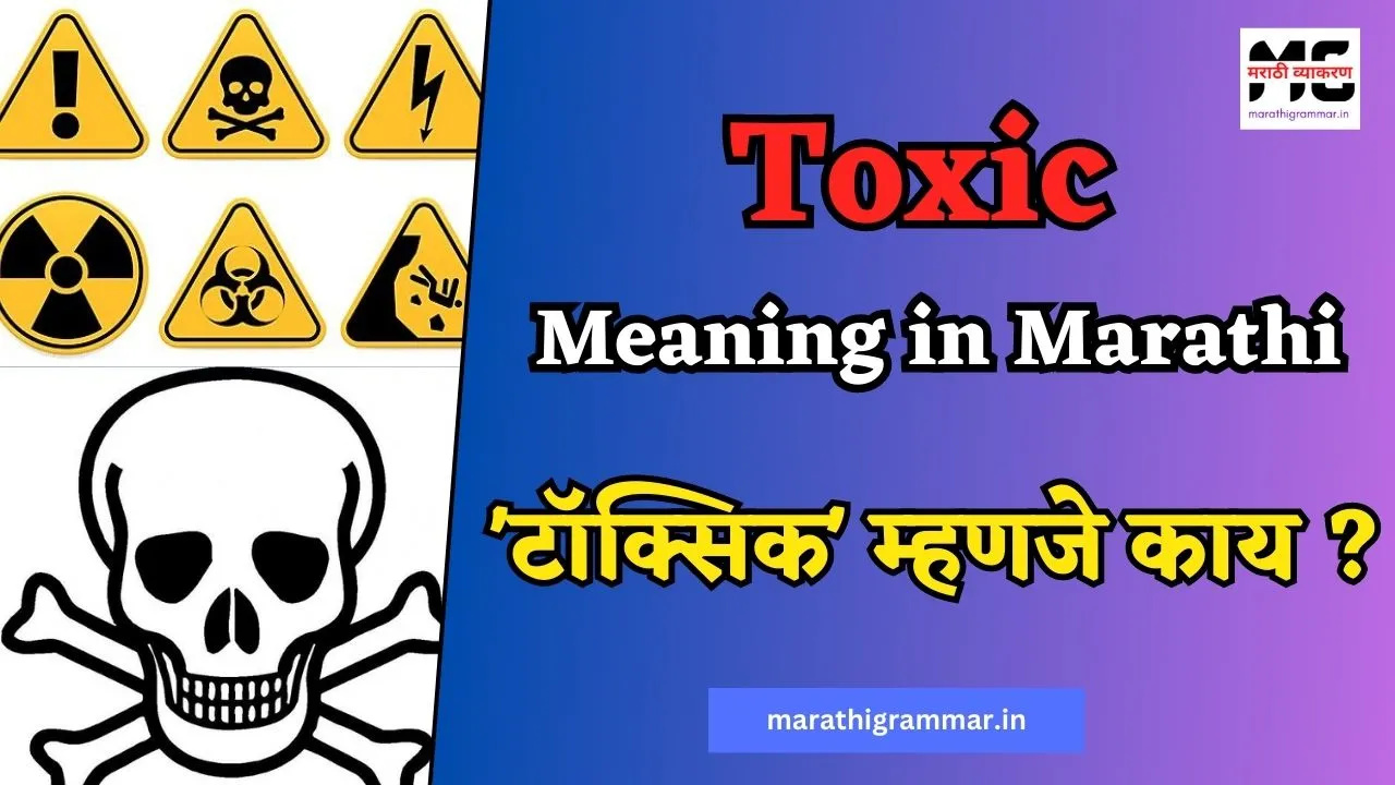 Toxic Meaning in Marathi | टॉक्सिक म्हणजे काय ?