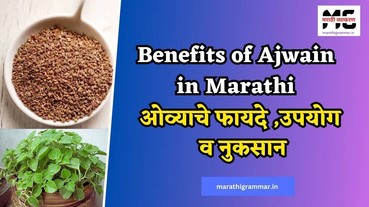 Benefits of Ajwain in Marathi 