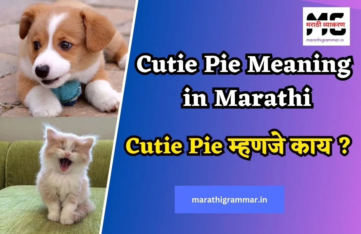 Cutie Pie Meaning in Marathi | Cutie Pie म्हणजे काय ?