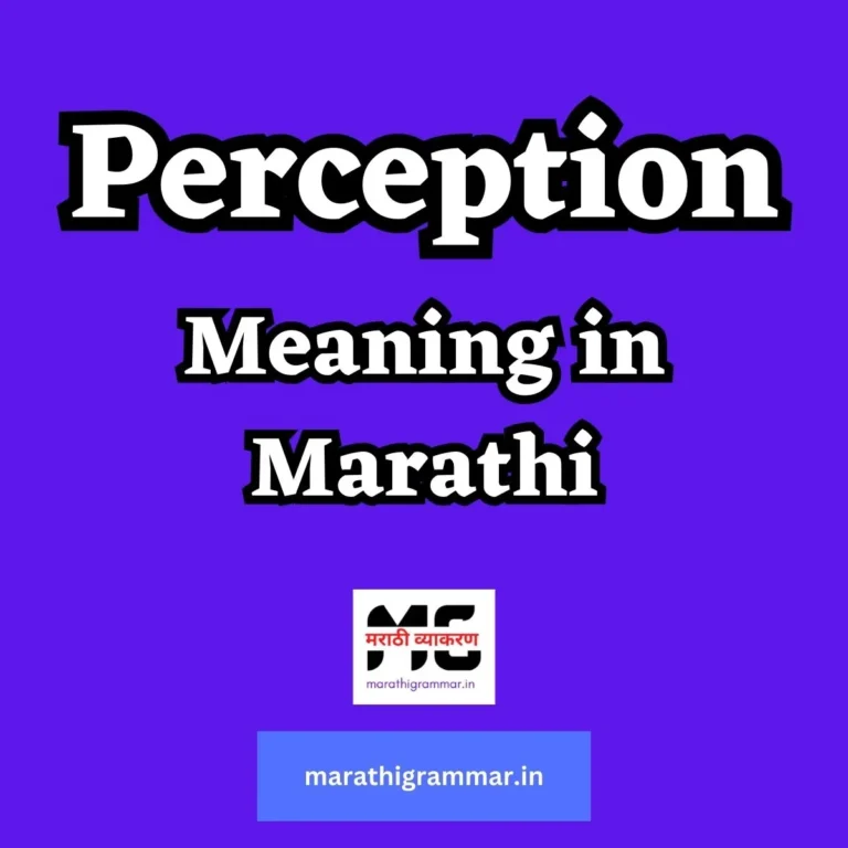 Perception Meaning in Marathi | Perception म्हणजे काय ? 