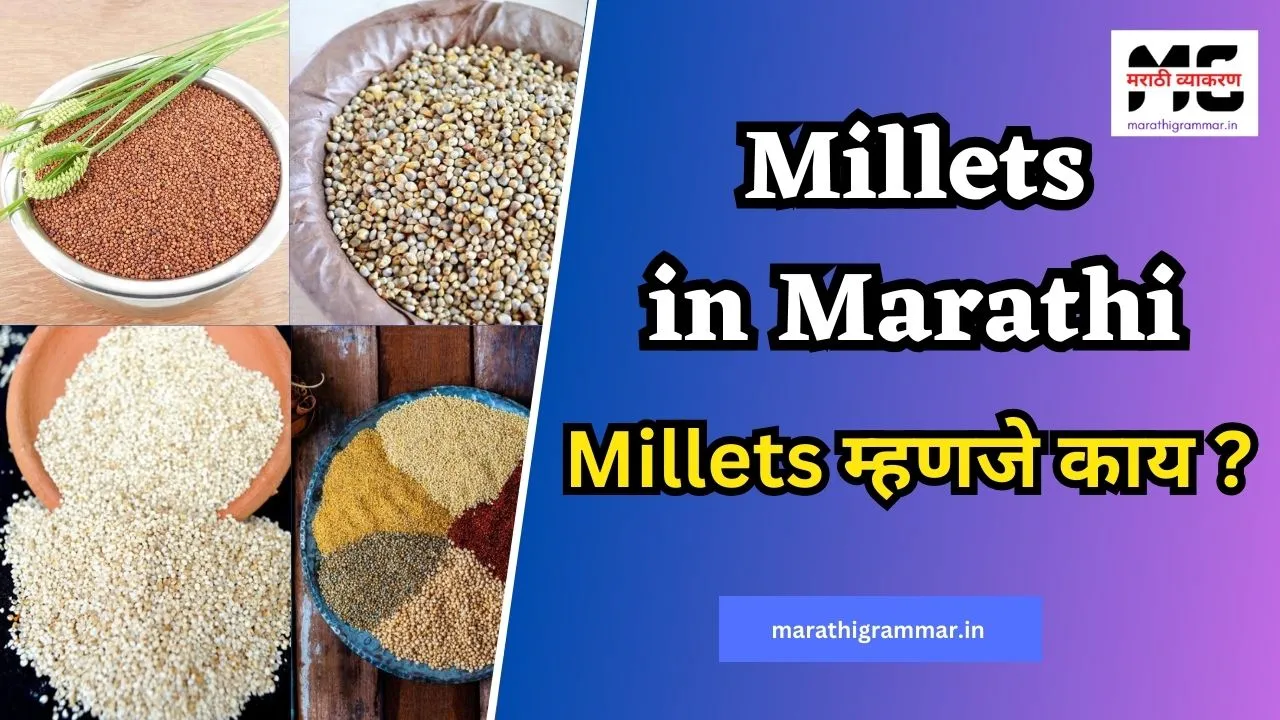 Millets Meaning In Marathi | Little Millet In Marathi  | Millets म्हणजे काय ?