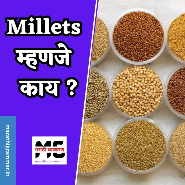 Millets Meaning In Marathi | Little Millet In Marathi | Millets म्हणजे काय ?