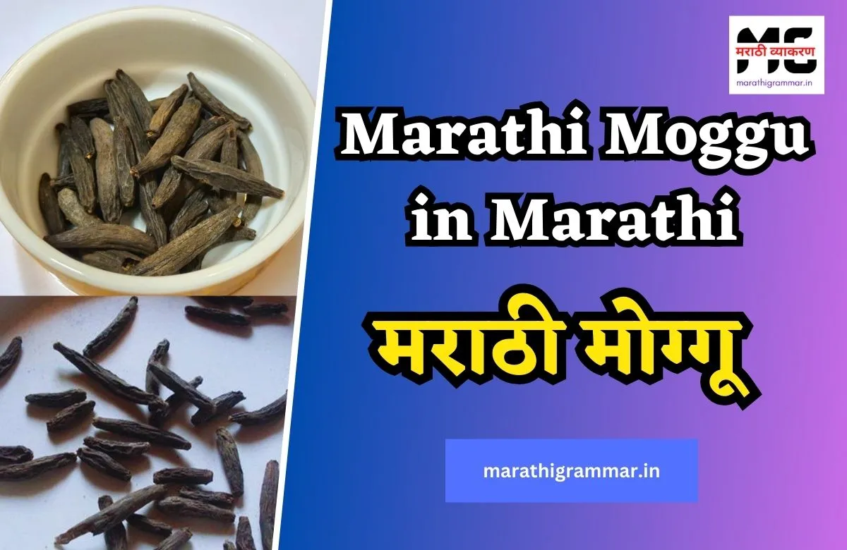 Marathi Moggu | Marathi Moggu in Marathi | मराठी मोग्गू