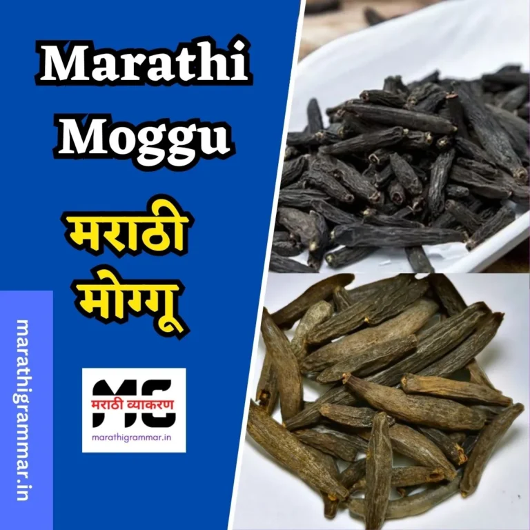 Marathi Moggu | Marathi Moggu in Marathi | मराठी मोग्गू